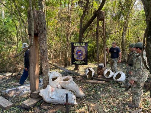 Nacocampamento desmantelado con más de 12 toneladas de marihuana